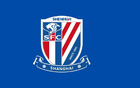  申花官方：阿馬杜傷左膝內(nèi)側(cè)副韌帶，預(yù)計缺陣3-4個月。