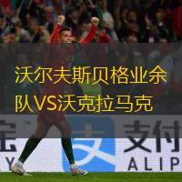  沃爾夫斯貝格業(yè)余隊(duì)VS沃克拉馬克
