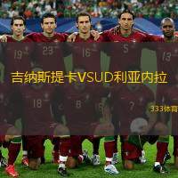  吉納斯提卡VSUD利亞內(nèi)拉
