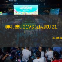  特利堡U21VS瓦納默U21