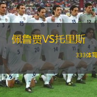  佩魯賈VS托里斯
