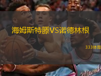  海姆斯特滕VS諾德林根