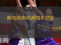  斯洛伐克VS斯洛文尼亞