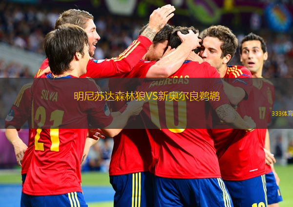  明尼蘇達森林狼VS新奧爾良鵜鶘