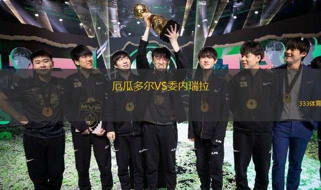  厄瓜多爾VS委內(nèi)瑞拉