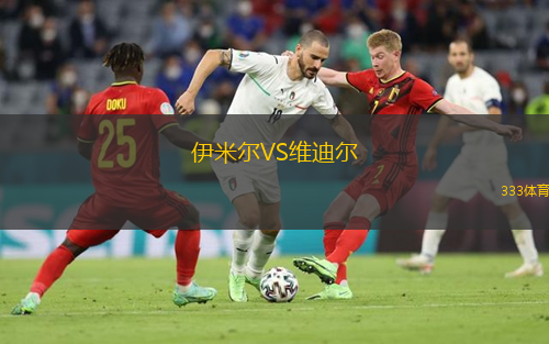  伊米爾VS維迪爾