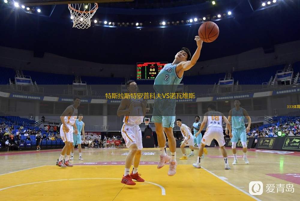  特斯拉斯特羅普科夫VS諾瓦維斯