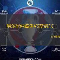  埃爾米納鯊魚(yú)VS斯凱FC