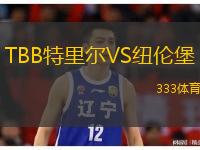  TBB特里爾VS紐倫堡
