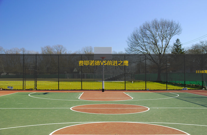  費耶諾德VS前進之鷹