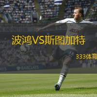  波鴻VS斯圖加特