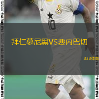  拜仁慕尼黑VS費(fèi)內(nèi)巴切