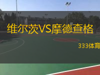  維爾茨VS摩德查格