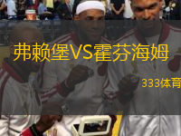  弗賴堡VS霍芬海姆