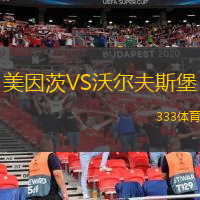  美因茨VS沃爾夫斯堡