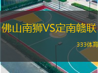 佛山南獅VS定南贛聯(lián)