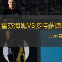  霍芬海姆VS多特蒙德