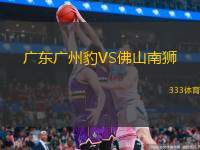  廣東廣州豹VS佛山南獅