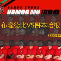 布隆德比VS哥本哈根