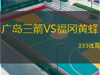  廣島三箭VS福岡黃蜂