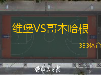  維堡VS哥本哈根