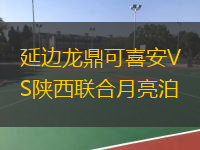  延邊龍鼎可喜安VS陜西聯(lián)合月亮泊